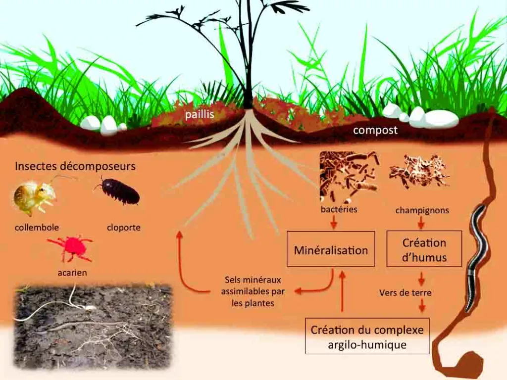 Conférence sol vivant à Nant Aveyron