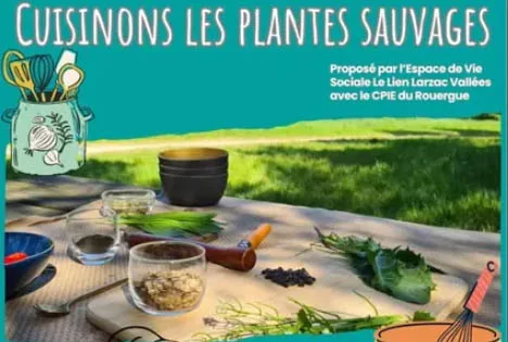 Cuisinons des plantes sauvages ramassées à côté de chez vous Cuisinons des plantes sauvages ramassées à côté de chez vous