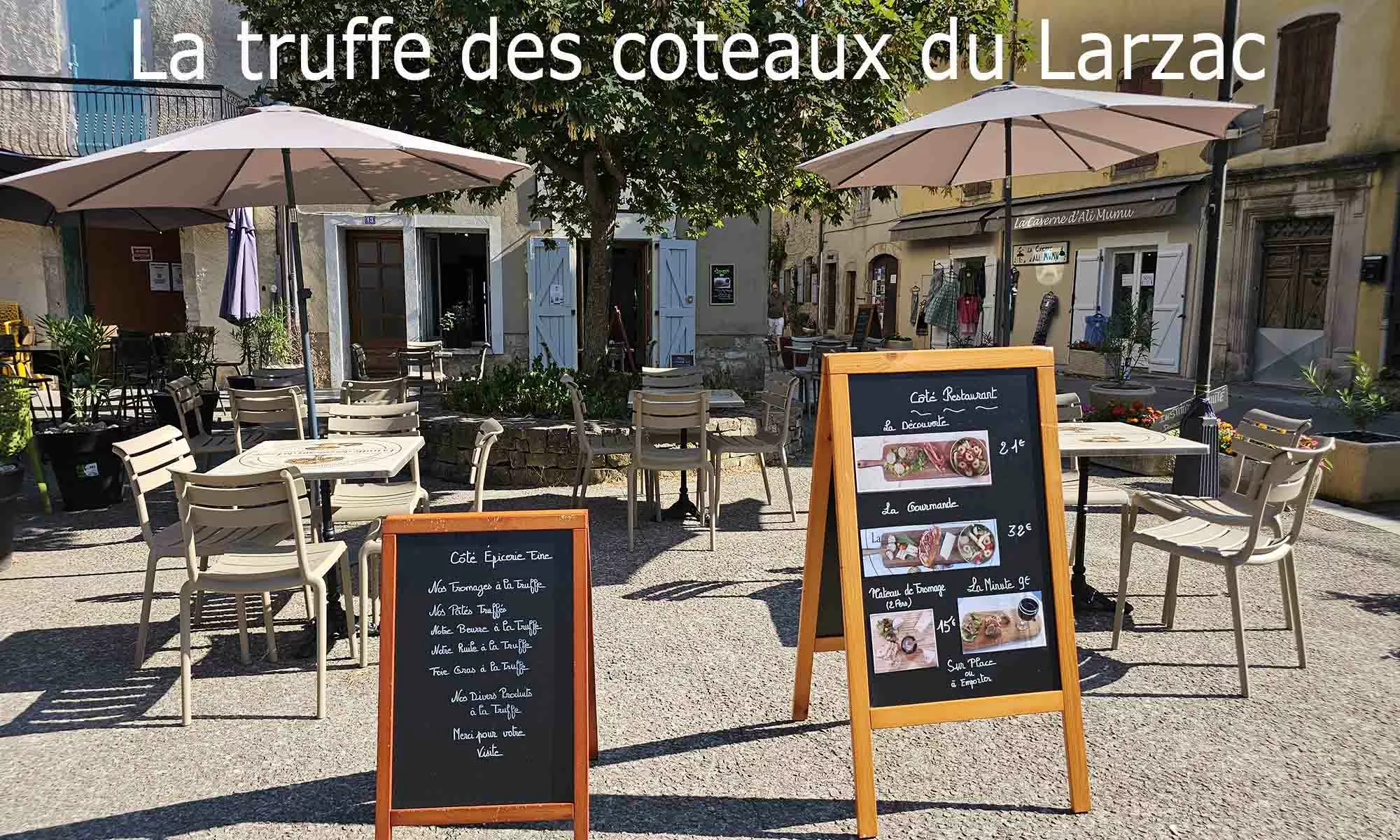 La truffe descendue des coteaux du Larzac à Nant d'Aveyron