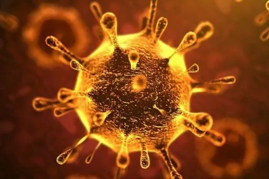 attestation coronavirus