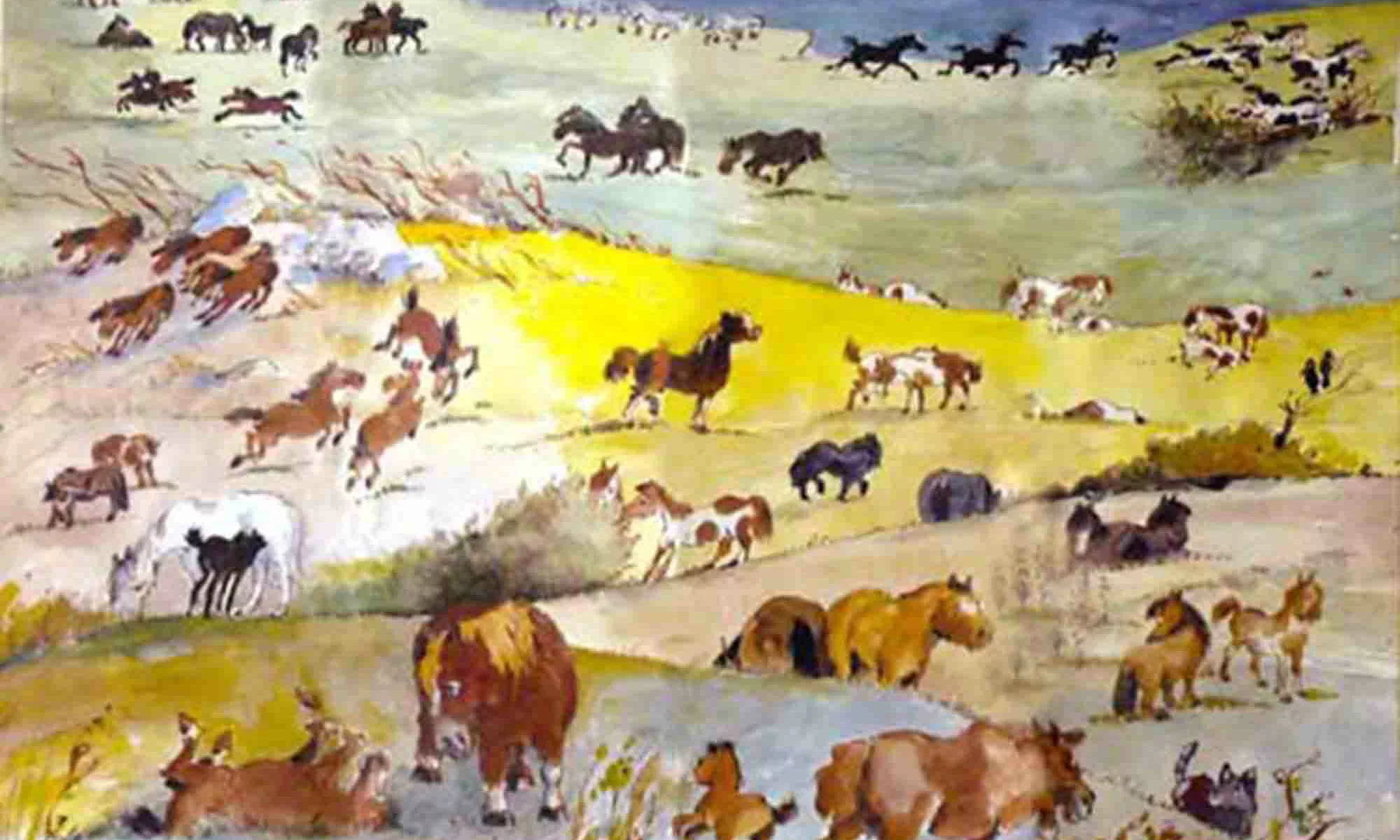 Centre équestre poney club Larzac et vallées. Élevage du Durzon
