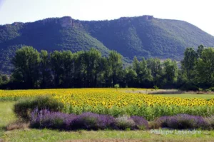 Le roc Nantais nous surveille