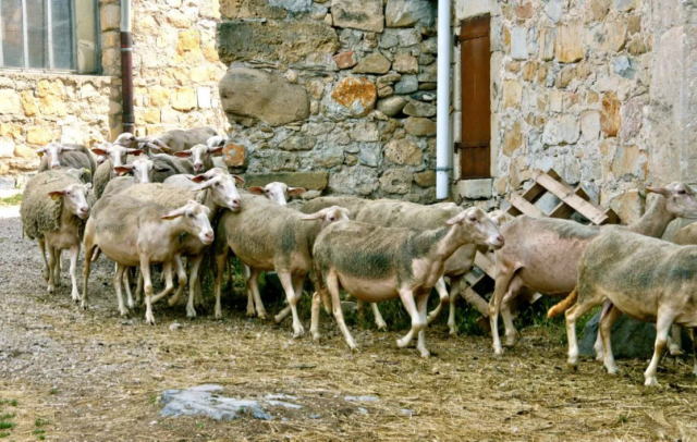 philippe-letendre-nant-aveyron (1)