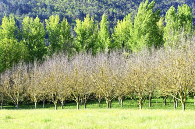 philippe-letendre-nant-aveyron (16)