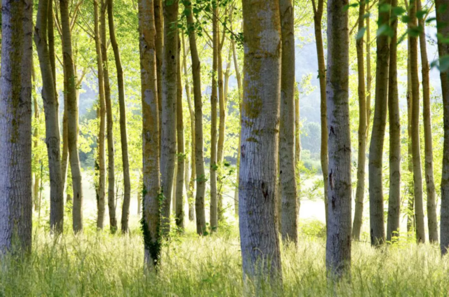 philippe-letendre-nant-aveyron (9)