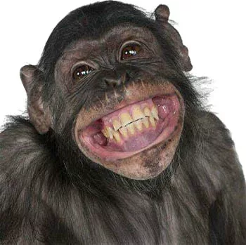 Mort de rire c'est l'expression qui s'applique bien dans ce cas là.