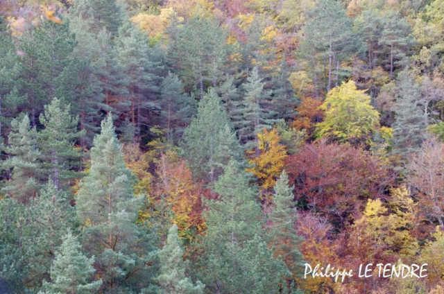 vallee-durzon-nant-2021 (11)