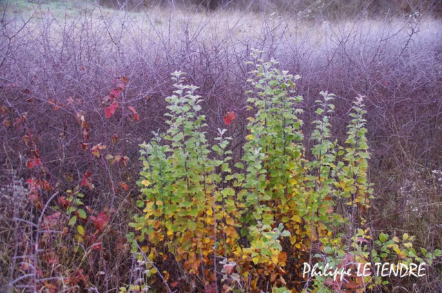 vallee-durzon-nant-2021 (13)
