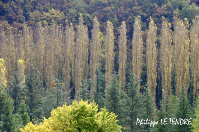 vallee-durzon-nant-2021 (16)