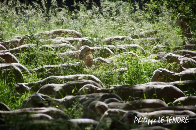 vallee-durzon-nant-2021 (18)