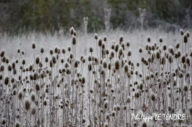 vallee-durzon-nant-2021 (20)