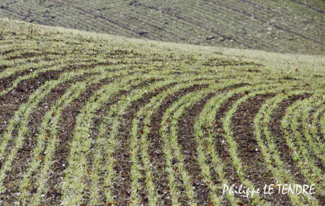 vallee-durzon-nant-2021 (3)