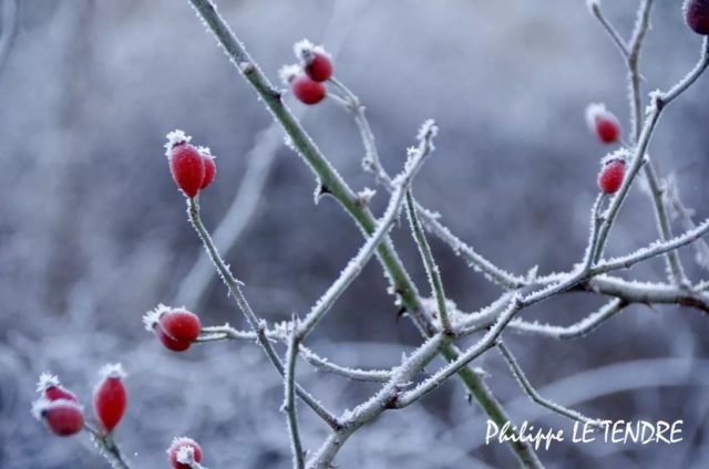 vallee-durzon-nant-2021 (7)
