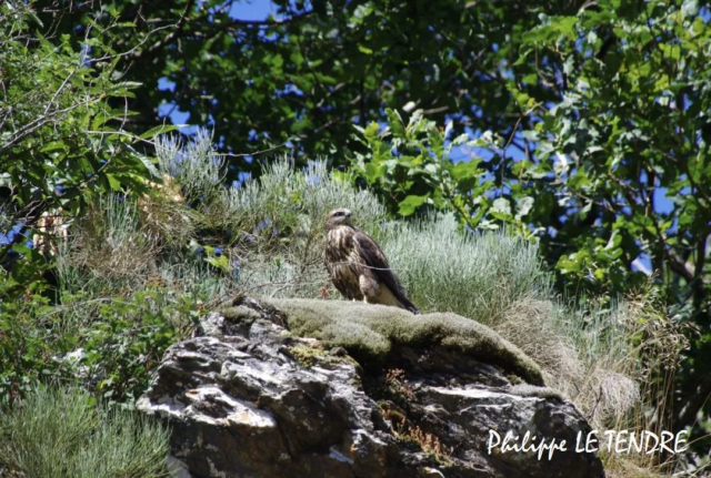 vallee-durzon-nant-2021 (8)