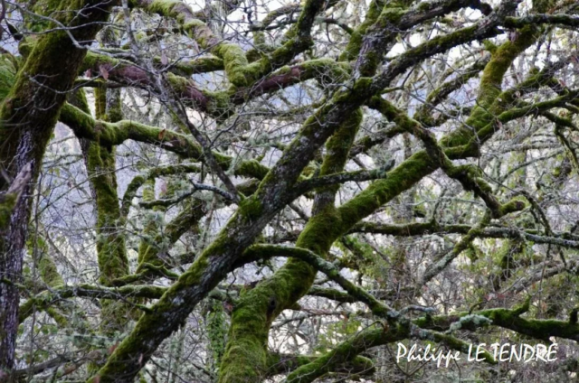 vallee-durzon-nant-2021 (9)